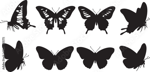 Black and white butterfly silhouettes with intricate patterns on a white background