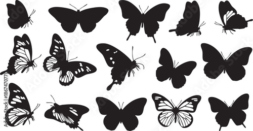Black and white butterfly silhouettes with intricate patterns on white background 2