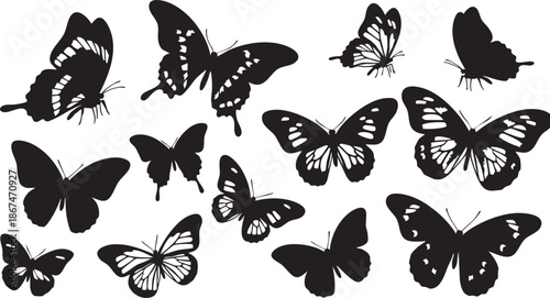 Black and white butterfly silhouettes with paint splatters on wings