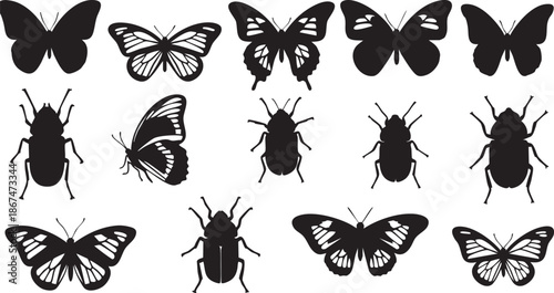 Black and white silhouettes of butterflies and beetles on white background 1