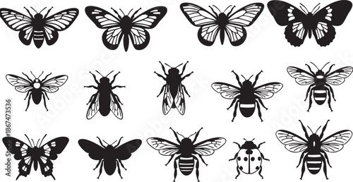 Black and white silhouettes of various insects and butterflies in a row
