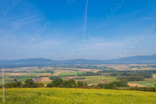 Schilderij op canvas Beautiful summer Swiss landscape with fields, trees and distant Jura Mountains i