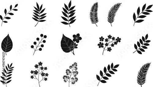 Leaf silhouette collection featuring black vector designs of various branches fern fronds and floral foliage elements for nature park and forest branding.