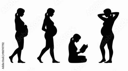 a visual depiction of pregnancy s progression showcases a woman s body silhouette evolving through stages from early to late with one figure reading high quality