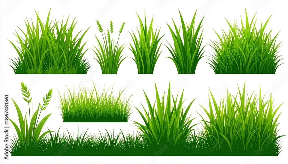 Obraz premium Grass Clump Illustration Pack with Twelve Stylized Green Variations for Landscape and Environmental Design