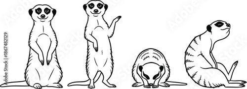 Four meerkats in different poses on a white background