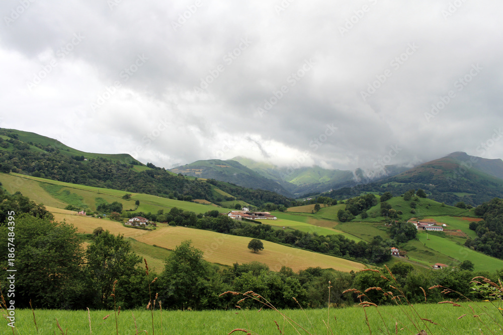 Obraz premium Countryside scenery with green fields and traditional houses on the Camino route outside Saint-Jean-Pied-de-Port, photographed in July 2024.
