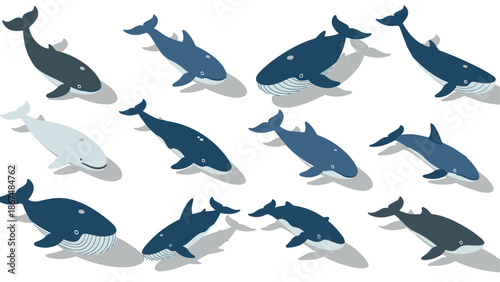 Isometric blue whales collection with shadows