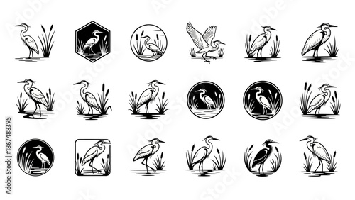 Collection of heron illustrations in various poses and settings