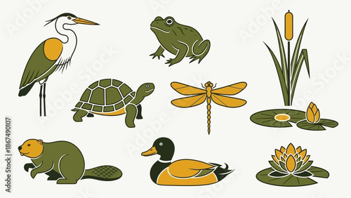 Illustration of various wetland animals and plants in a serene environment