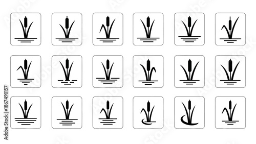 Collection of various plant illustrations in square frames on a clean background