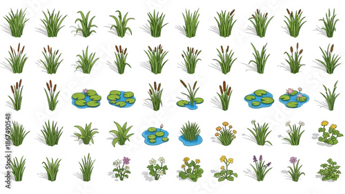 Collection of various aquatic plants and flowers illustrated in a grid pattern on a white background