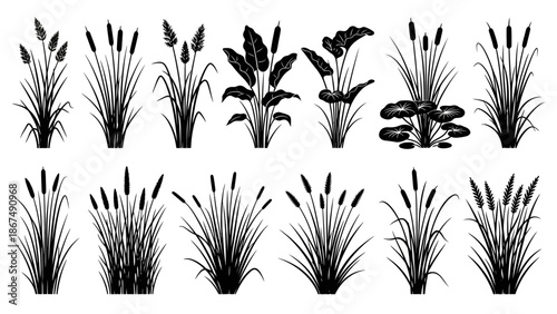 Various aquatic plants and cattails illustrated in black and white against a plain white background