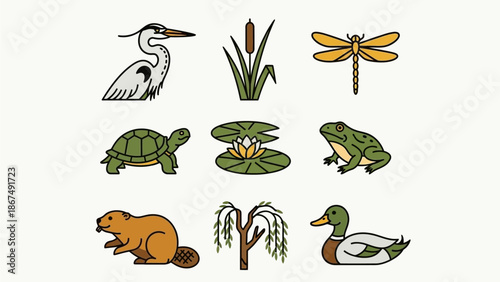 Illustration of various wetland animals and plants surrounding a serene pond