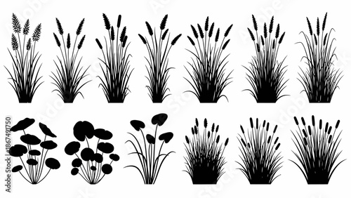 Collection of various black and white illustrations of plants and flowers in pots from a top view