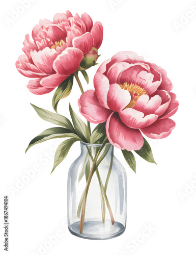 Botanical ranunculus flower and buds illustrated in traditional watercolor style.