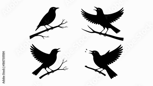 a minimalist illustration depicts four black silhouettes of birds in varying poses perched on slender branches showcasing flight and rest high quality professional detailed modern elegant