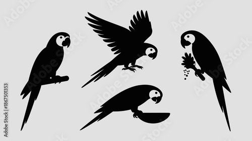 a collection of four striking black silhouettes depict various poses of vibrant tropical parrots showcasing their elegant forms and plumage high quality professional detailed modern stylish