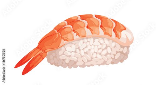 Fresh shrimp nigiri sushi featuring a piece of cooked prawn over a bed of white vinegared rice in traditional Japanese style.