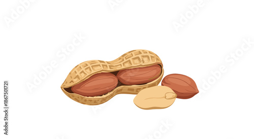 Group of peanuts featuring whole nuts in their textured shells along with several shelled peanut kernels on white background.