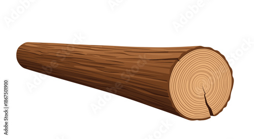 Long wooden log with brown bark and visible annual growth rings on the cut end shown from a perspective view on white background.