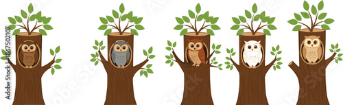 Cute owl characters sitting inside tree trunks collection vector illustration isolated on white background for kids and nature designs