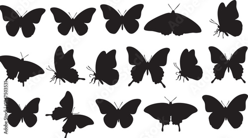 Black Silhouettes of Various Butterflies and Moths on White Background butterfly