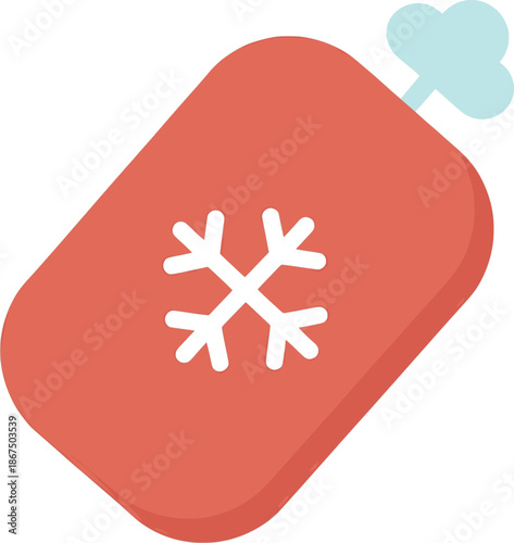 Winter Hot Water Bag