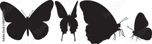Four black butterfly silhouettes with varying wing shapes and antennae on a white background 2