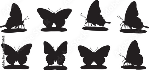 Silhouettes of butterflies with whiskers on a white background butterfly black