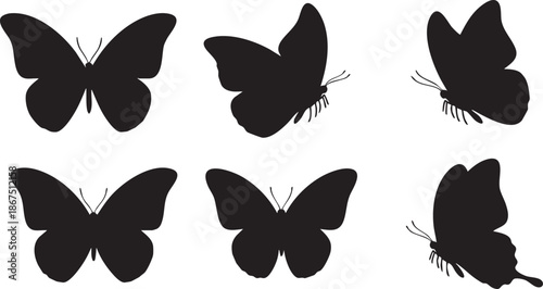 Six black butterfly silhouettes with whisk-like antennae on white background