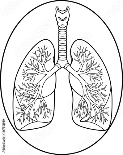 Anatomical lung and trachea line art illustration for respiratory health medical education and pulmonology clinic professional branding identity.