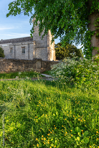 Evening light on the green by St Peters church in the Cotswold village of Windrush, Gloucestershire, England UK