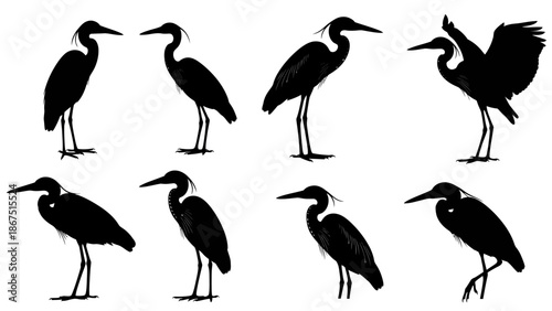 Collection of heron silhouettes in various poses against a white background