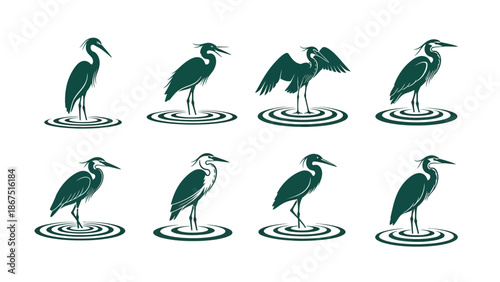 Collection of heron illustrations in various poses on water ripples against a white background