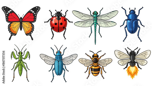 Collection of Insect Illustrations with Butterflies, Ladybugs, Dragonflies, Beetles, Mantises, Flies, Bees, and Wasps