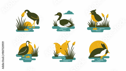 Illustrations of birds in various poses amidst aquatic plants and water in a stylized setting