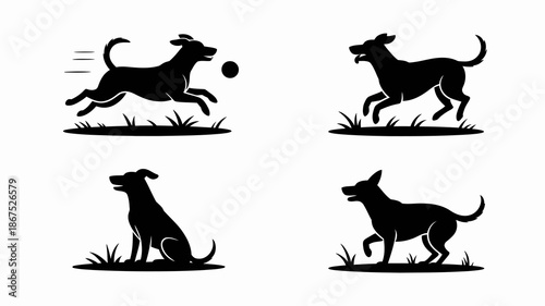 A playful illustration depicts two dogs interacting with a ball showcasing different poses of fetching and sitting high quality professional detailed modern elegant stylish clean crisp