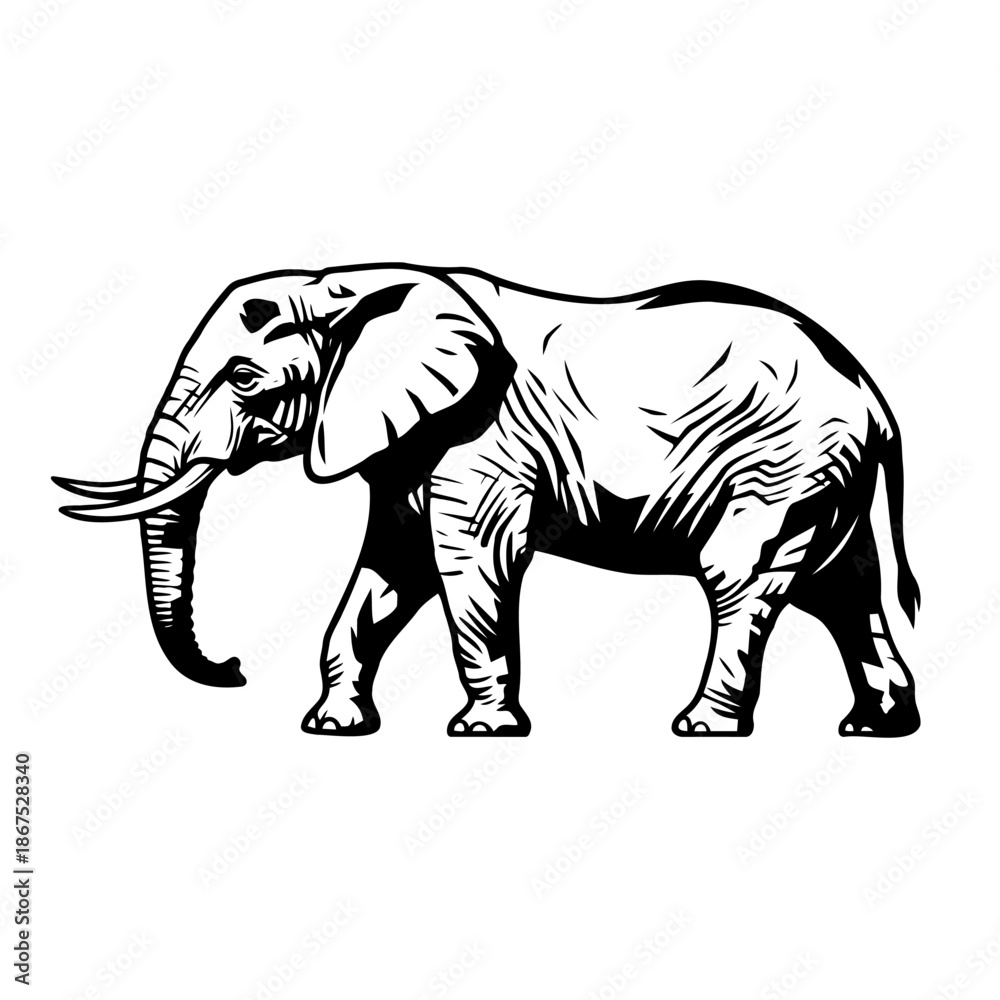 Fototapeta premium Elephant Line Art Vector Illustration Isolated on White