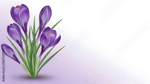 Celebrating international women's day with empowerment and equality