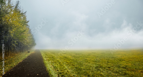 Weg durch das Schwarze Moor in der Rhön, Bayern, Deutschland