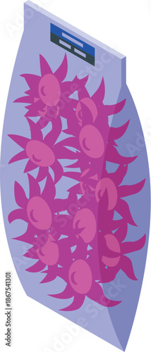 Vacuum sealed package containing fresh, ripe pitaya, ensuring quality and extending shelf life