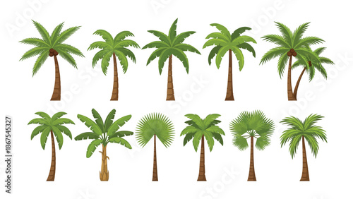 Tropical cartoon palm trees including banana and coconut trees with lush green leaves.eps