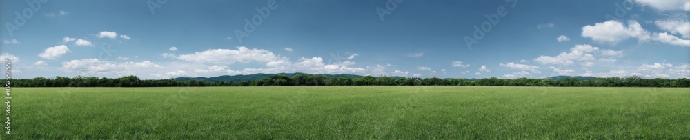 Obraz premium Expansive green field under vast blue sky with scenic mountain view