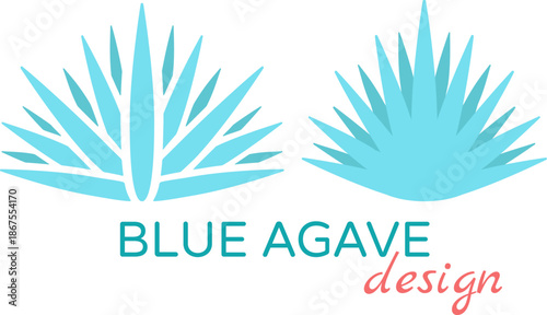 A set of two minimalistic logotypes of blue agave, the plant used for tequila production. Alcohol and pharmacy. Traditions of Mexica. Geometric flat icons