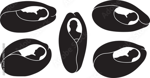 Human Fetal Development Stages Silhouette