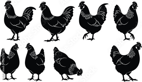 Black Chicken and Rooster Silhouettes Set, Poultry Bird Icons, Hen and Cockerel Vector Graphic Elements for Farm Branding and Livestock Design