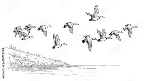 Flock of birds in flight over a serene lake from a distant viewpoint
