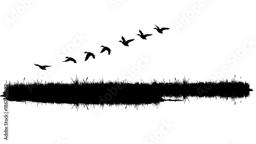 Flock of birds flying over a serene wetland landscape