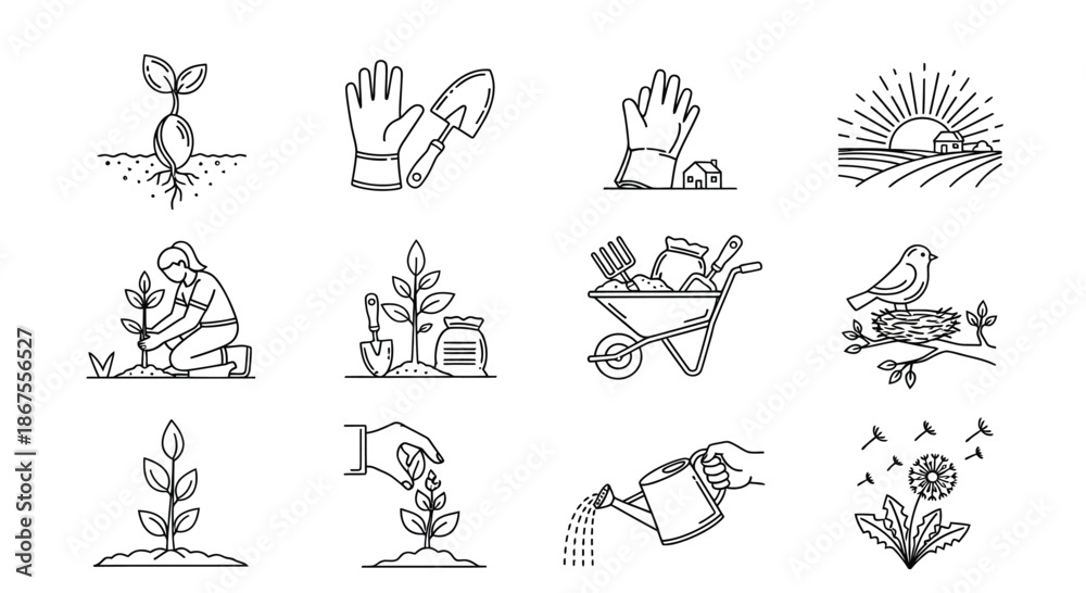 Fototapeta premium Illustrations of gardening and nature Vector
